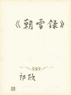 《朝雪录》小说