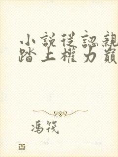 小说从认亲开始踏上权力巅峰格鱼精校版