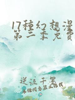 17种幻想漫画第二季免费阅读