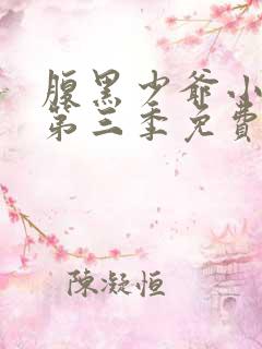 腹黑少爷小甜妻第三季免费观看