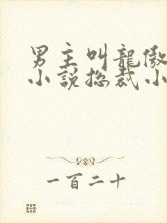 男主叫龙傲天的小说总裁小说