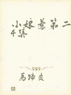 小娘惹第二部24集