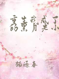 重生我成了权臣的黑月光小说