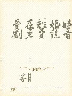 爱在离婚时电视剧免费观看