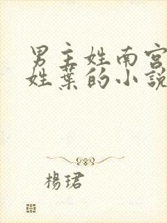 男主姓南宫女主姓叶的小说