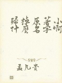 归棹原著小说叫什么名字啊