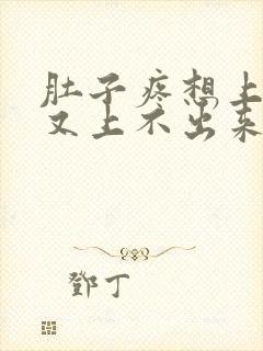 肚子疼想上厕所又上不出来吃什么药