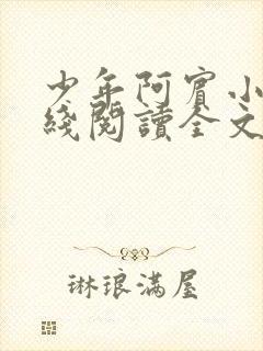 少年阿宾小说在线阅读全文免费