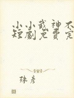 小小武神不好惹短剧免费完整版