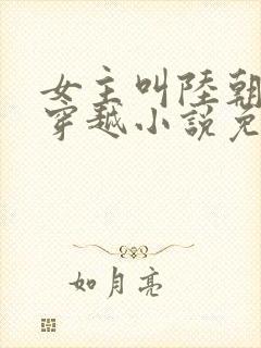 女主叫陆朝朝的穿越小说免费阅读