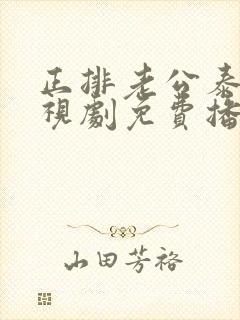 正排老公泰剧电视剧免费播放全集