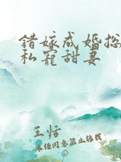 错嫁成婚总裁的私宠甜妻