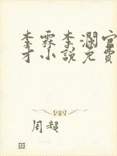 李霖李澜官场奇才小说免费阅读