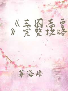 《三国志曹操传》完整攻略