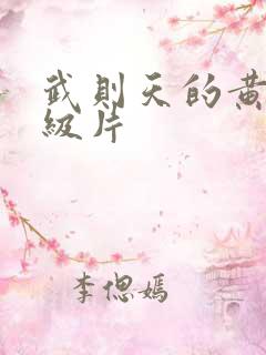 武则天的黄色一级片