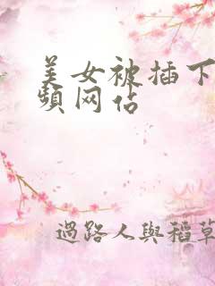 美女被插下体视频网站