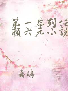 第一序列任小粟颜六元小说阅读版