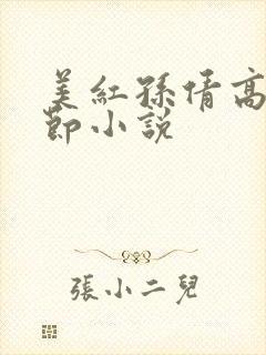美红孙倩高义章节小说