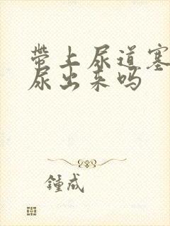 带上尿道塞还能尿出来吗