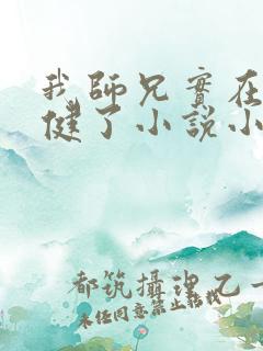 我师兄实在太稳健了小说小说