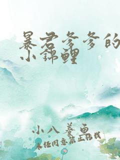 暴君爹爹的团宠小锦鲤