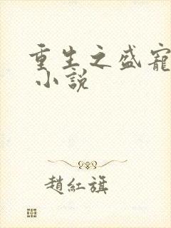 重生之盛宠栀九 小说