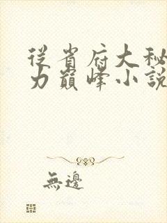 从省府大秘到权力巅峰小说免费阅读