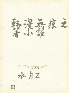 韩漫无痕之夜原著小说