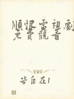 顺恨电视剧全集免费观看