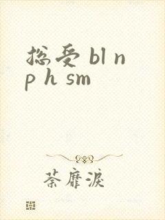 总受 bl np h sm