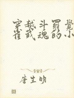 穿越斗罗觉醒朱雀武魂的小说