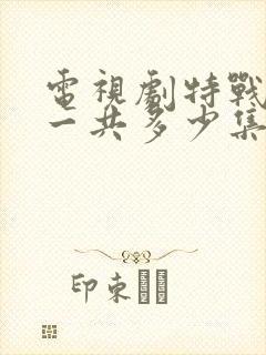 电视剧特战荣耀一共多少集