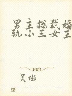 男主总裁婚内出轨小三女主的小说