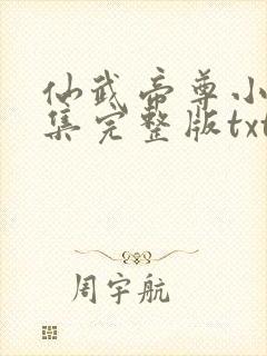 仙武帝尊小说全集完整版txt