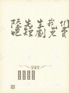 陆先生我们结婚吧短剧免费观看全集高清