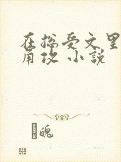 在总受文里抢主角攻 小说