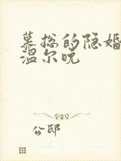 慕总的隐婚罪妻温尔晚