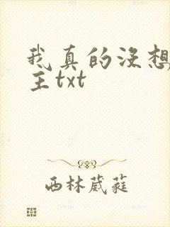 我真的没想抢男主txt