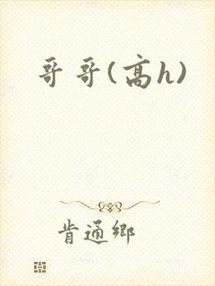 哥哥(高h)