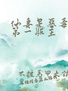 仙妻是恶毒女配第一版主