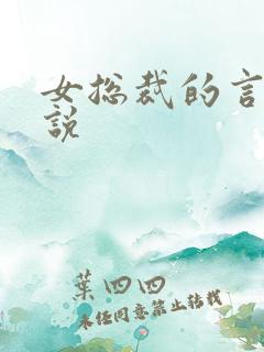 女总裁的言情小说