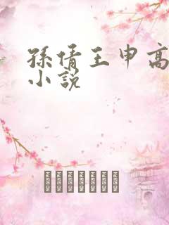 孙倩王申高校长小说