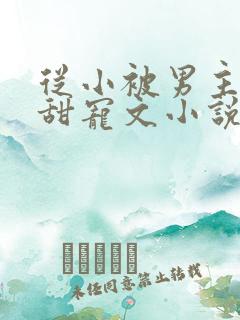 从小被男主养大甜宠文小说