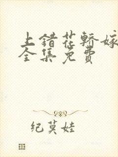 上错花轿嫁王爷全集免费