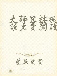 大师兄林枫的小说免费阅读