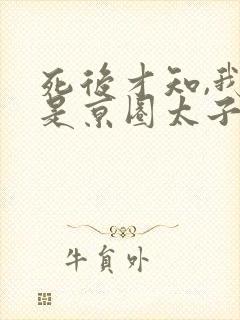 死后才知,我竟是京圈太子白月光44