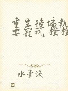 重生后偏执大佬要宠我 橙橙安