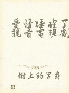 爱情睡醒了免费观看电视剧全集