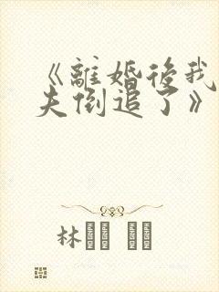 《离婚后我被前夫倒追了》