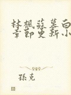 林枫苏慕白最新章节更新小说下载